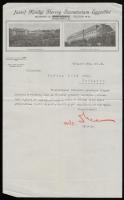 1928 József Királyi Herceg Szanatórium Egyesület díszes fejléces levél, 34x21 cm
