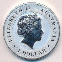 Ausztrália 2016. 1$ "II. Erzsébet / Ausztrál Kenguru" (1oz/0.999) T:BU
Australia 2016. 1 ...