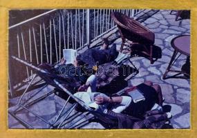 Diafilm tartó fa doboz, tele diákkal, diatartó kerettel (főleg városképek, életképek), kb 100 db