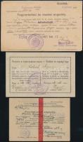 1921-1943 2 db fegyvertartási engedély és 1 db vadászjegy (Szeged, Horgos, Enying)