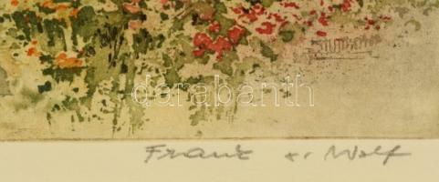 Franz Xavier Wolf (1896-1990): Utca részlet. Színes rézkarc, papír, jelzett, üvegezett keretben, 31×...