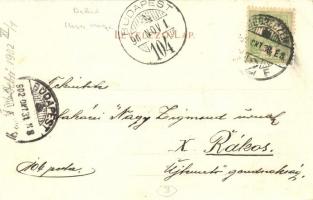 Debrő, Feldebrő; Tanyai népünnepély. Komáromi J. felvétele és kiadása, floral Art Nouveau (EK)