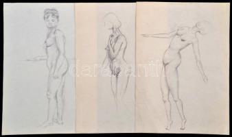 Jelzés nélkül: Női akt vázlatok, 6 db, ceruza, papír, kissé gyűrött szélekkel, 35x25 cm és 37x25 cm ...