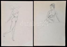 Jelzés nélkül: Női akt vázlatok, 6 db, ceruza, papír, kissé gyűrött szélekkel, 35x25 cm és 37x25 cm ...