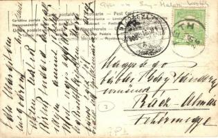 1908 Tét, Baj-Halászy kastély parkja. Glück József photo