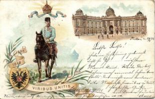 1898 Wien Franz Joseph Litho (Rb)