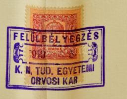 1910 Bp., A Kir. Magyar Tudomány Egyetem 2. számú Sebészeti Klinika által kiállított sebész-műtői ig...