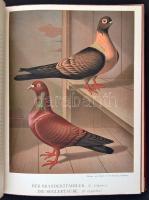 Prütz, Gustav; Illustrirtes Mustertauben-Buch  Enthaltend das Gesammte der Taubenzucht.
Hamburg, 18...