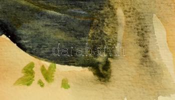 Somlai Vilma (1938-2007): Vízpart. Akvarell, papír, jelzett, 35×49 cm