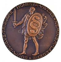 Reményi József (1877-1977) 1939. "Dr. Nyulászi János 1939" Br emlékplakett (320g/88mm) T:2...