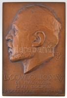 Beck Ö. Fülöp (1873-1945) 1908. Ludovico Ilosvay (Ilosvay Lajos) Br emlékplakett (335g/101x150mm) T:2 /  Hungary 1908. LUDOVICO ILOSVAY DE NAGYILOSVA GRATI DISCSIPVLI MDCCCLXXXIII - MCMVIII Br commemorative plaque. Sign.: Fülöp Beck Ötvös (335g/101x150mm C:XF HP 871.