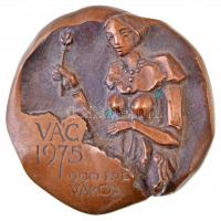 1975. "Vác 1975 - 900 éve város" Br emlékplakett. Szign.: CS (1090g/~117mm) T:2 /  Hungary 1975. " Vác 1975 - 900th Anniversary" Br commemorative plaque. Sign.: CS (1090g/117mm) C:XF