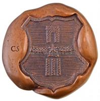 1975. "Vác 1975 - 900 éve város" Br emlékplakett. Szign.: CS (1090g/~117mm) T:2 / 
Hungar...