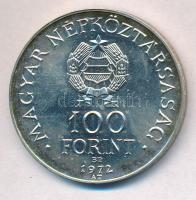 1972. 100Ft Ag "Budapest" T:1-,2 kis patina 
Adamo EM40