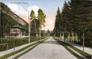 15 db régi magyar és történelmi magyar városképes lap / 15 pre-1945 Hungarian and Historical Hungari...