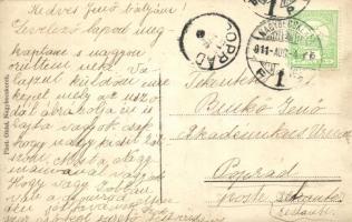 1911 Nagybecskerek, Velky Beckerek, Zrenjanin; fürdőzők csoportképe / bathing people. Oldal photo