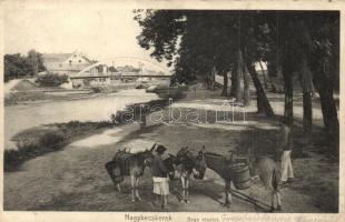 Nagybecskerek, Velky Beckerek, Zrenjanin; Béga részlet, híd, vízvezeték, vízhordás szamarakkal. Knackstedt & Co. kiadása / Bega river bridge, canal, water carrying with donkeys (EK)