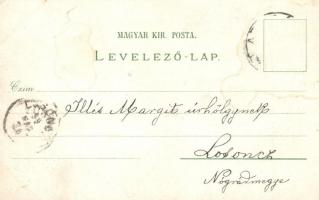 1899 Arad, Andrássy tér, Maros part, Városháza, Lyceum, Színház / square, Mures riverbank, town hall...