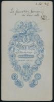 1907 Hölgy műtermi portréja, keményhátú fotó Goszleth budapesti műterméből, 15x8 cm