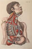 Richter, Th.:  Pfennig Encyklopädie der Anatomie oder bildliche Darstellung der gesammten menschlich...