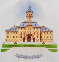 Herendi Viktória mintás "Szeged" porcelán tál, kézzel festett, jelzett, hibátlan(kis kopás...