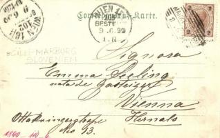 1899 Lasko, Markt-Tüffer; general view, bridge. Verlag And. Elsbacher