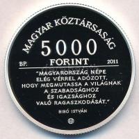 2011. 5000Ft Ag "Bibó István" T:PP 
Adamo EM241