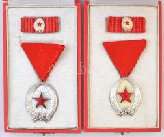 1964. Munka Érdemrend ezüst fokozata, zománcozott Br kitüntetés miniatűrrel szalagsávon (2x) mindkettő eredeti tokban T:2