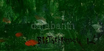 Brettschneider jelzéssel: Kisasszony a szabadban.Olaj, vászon, jelzett, keretben, 63×50 cm