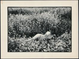 cca 1979 Kotnyek István: Virágok közt, feliratozott vintage fotóművészeti alkotás, 18x24 cm