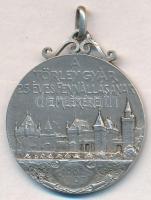 Szirmai Tony (Antal) (1871-1938) 1907. "A Törley Gyár 25 éves fennállásának emlékére / Törley J...