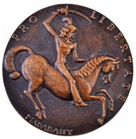 Madarassy Walter (1909-1994) DN "II. Rákóczi Ferenc / Pro Libertate" Br emlékérem (255g/81...