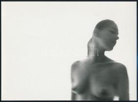 cca 1978 Kortárs fotóművészeti alkotások, 4 db feliratozott aktfotó, 24x15 cm és 14x9 cm között