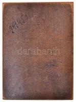 Solymári Valkó László (1909-1984) 1954. "Zrínyi Miklós" Br plakett (216g/66,5x90,5mm) T:2 ...