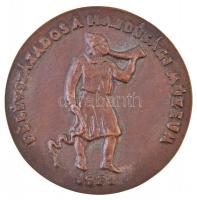 Csúcs Ferenc (1905-1999) 1971. "Bocskai István / Félévszázados a Hajdúsági Múzeum" Br emlé...