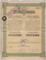 Vegyes: Románia / Bukarest 1927. "Steaua Romana" háromnyelvű részvény 500L-ről, szelvények...