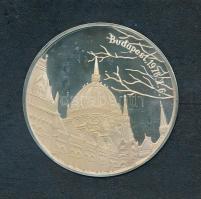 Fülöp Zoltán (1951-) 1978. "Koronázási jelvények" Ag emlékérem sérült plasztiktokban tanús...