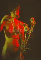 cca 1969 Czakó László (?-?) pécsi fotóművész hagyatékából szolidan erotikus felvételek, 13 db színes...