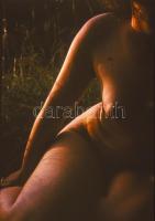 cca 1969 Czakó László (?-?) pécsi fotóművész hagyatékából szolidan erotikus felvételek, 13 db színes...