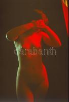 cca 1969 Czakó László (?-?) pécsi fotóművész hagyatékából szolidan erotikus felvételek, 13 db színes...