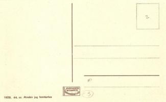 Balatonföldvár, Vasútállomás, sínautóbusz (sínbusz)