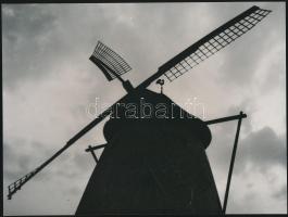 Külföldi és magyar szélmalmok tétele, 3 db vintage fotó és 3 db képeslap, 6x9 cm és 18x24 cm között / windmills