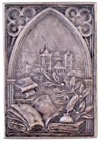 DN "Calvin 1509-64" Kálvin Jánost ábrázoló, jelzetlen Ag plakett. Szign.: A.J.G. (25x36mm/...