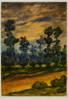 Starmüller Géza (1931-): Remetemező. Akvarell, papír, foltos, jelzett, 49×34 cm