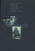 cca 1941 Szépen színezett amatőr emlékképek albumlapon, 9 db vintage fotó, 6,5x5 cm és 11,5x7,5 cm