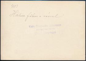 cca 1915 Halics (ma: Ukrajna) főtere a várral, fotó, hátulján feliratozva, pecséttel jelzett (Kaiser...