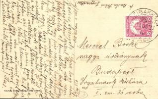 Cibakháza, Artézi kút, Községháza, templom, Turul emlékmű