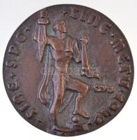 Csúcs Ferenc (1905-1999) 1949. "Bárány István / Sine spe sine metu 1949" Br emlékérem (223...