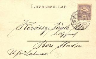 Debrecen, Kossuth utca és Piac utca sarok, hirdetőoszlop, Tóth Gyula és Ifj. Pájer üzlete. László Al...