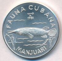 Kuba 1981. 5P Ag "Óriás kajmánhal" T:BU  Cuba 1981. 5 Pesetas Ag "Giant Garfish" C:BU Krause KM#84